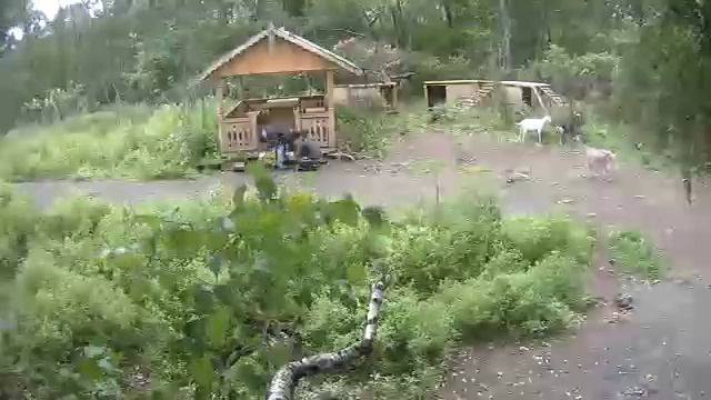 Установка порожка для козьей беседки смотреть онлайн