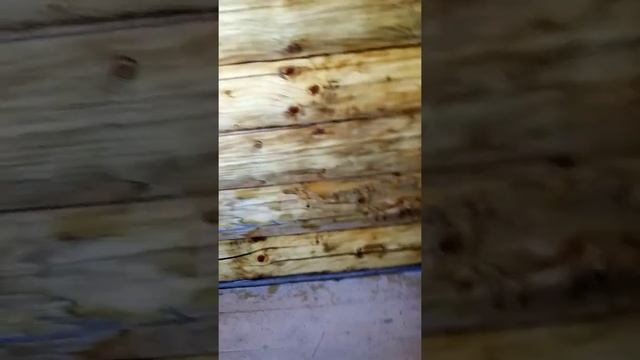 Отбеливание сруба.