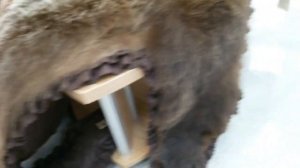 Унты в Якутске. Обзор и цены