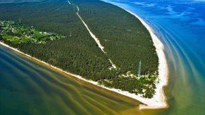 Zodiaks - Dedication