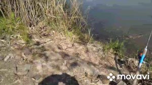 ВДСК. Волго-Донской судоходный канал 13.05.21г. Рыбалка на канале.