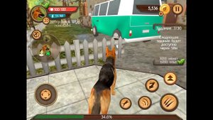 Играем в СИМУЛЯТОР СОБАКИ, Выпуск 1 - приключение про щенков и собак развлекательное видео для дете