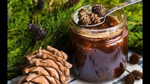 45+ фотоповодов сварить полезное варенье из сосновых шишек для укрепления иммунитета