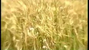 Живая вода Краснова ч.1