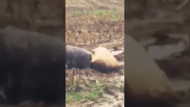 2022-11-14 смотреть онлайн