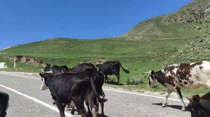 Дагестан. Едем на Салтинский водопад