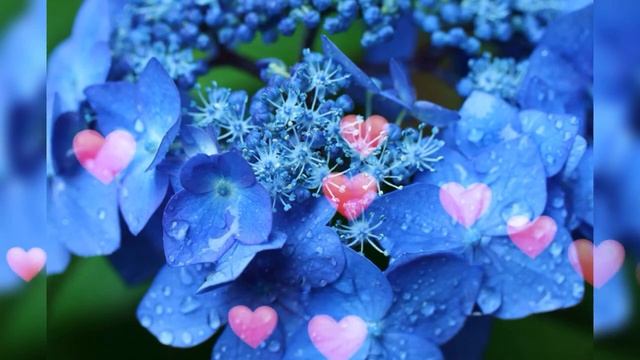 С Днём Голубых глаз смотреть онлайн