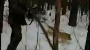 Охота на медведя, три варианта