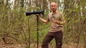 FOTO-CHALLENGE | Mit dem ULTRA-TELE im WALD schöne Fotos machen! (Canon R5 & Sigma 60-600mm)