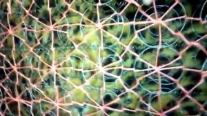 Как усилить пружинный блок Боннель (поролоновые вставки)