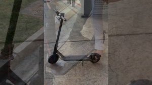 Xiaomi Mijia M365 Electric Scooter Black