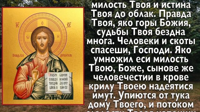 ПРОЧТИ СЕЙЧАС! ВСЕ БОЛЕЗНИ СНИМЕТ КАК РУКОЙ! Молитва смотреть онлайн