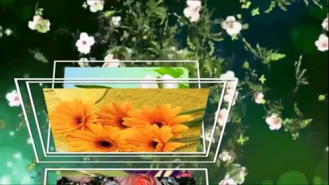 С Днем учителя милые дамы!!!! Поздравительная открытка #деньучителя #музыкальнаяоткрытка