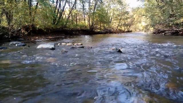 Новый поворот в деле о смерти дочери Конкина смотреть онлайн