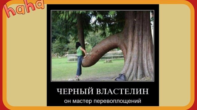 СМЕШНЫЕ ПРИКОЛЬНЫЕ КАРТИНКИ