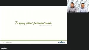 Подсолнечник: Вопросы и ответы по современным технологиям возделывания подсолненика