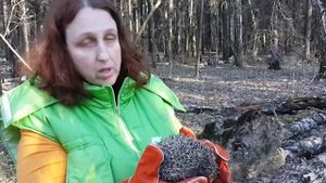 Выпускаем ёжика в лес!