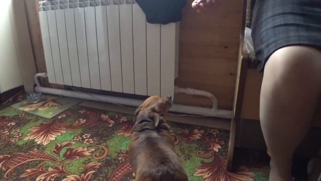 ПЕРВАЯ ПРОБА ТАБАКА САМОСАДА смотреть онлайн