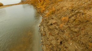 Поиск и ловля щуки на малой реке. Спиннинг с берега осенью в октябре 2021