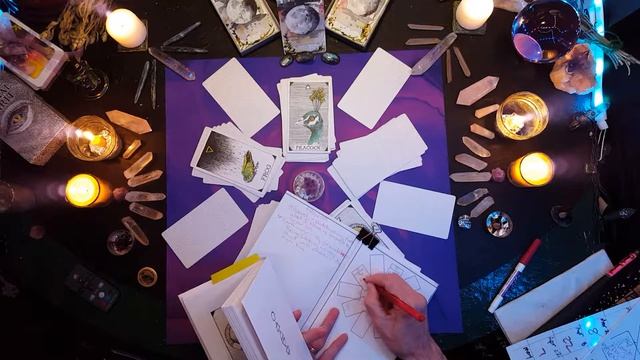 TorhallasReadings 4May2018 Wild Unknown Animal Spirit Oracle смотреть онлайн