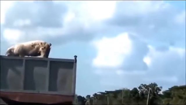 Вите нужно выйти смотреть онлайн