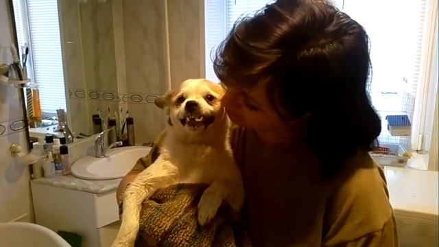 После прогулки.mp4 смотреть онлайн