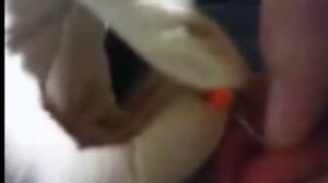 Море крови. Прокол языка дома!!!!