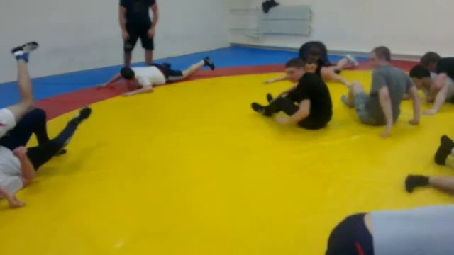 вольная борьба-университет им.ярослава мудрого-4 03 2013 УТЗ юристов