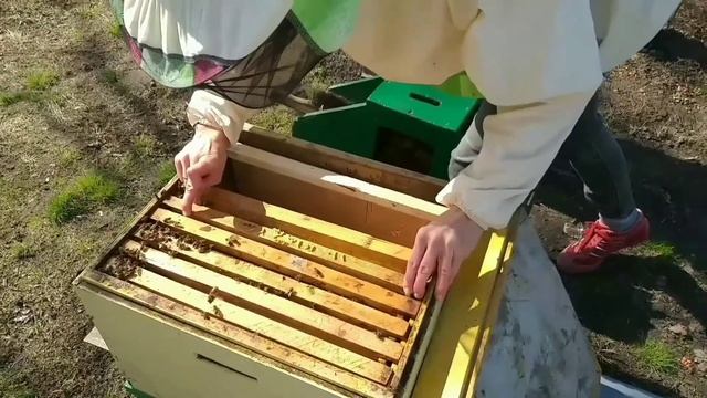 Пропала матка весной. Что делать? смотреть онлайн