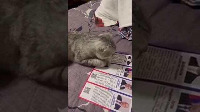 Выбор сделан