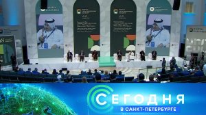 «Сегодня в Санкт-Петербурге»: 16 ноября 2023 года