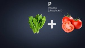 Лекция 10. Часть 1.Как увеличить Фосфор (phosphorus)(P) и сделать его доступным.
