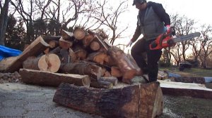 Husqvarna 450 e-series chainsaw