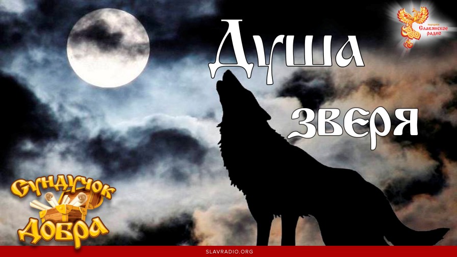 Читать душа зверя. Душа зверя. душа животных.