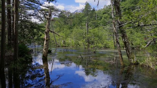 Приключения в Японских Альпах (Часть 1) Долина Камикочи и самая красивая деревня в Японии смотреть онлайн
