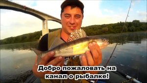 Добро пожаловать)