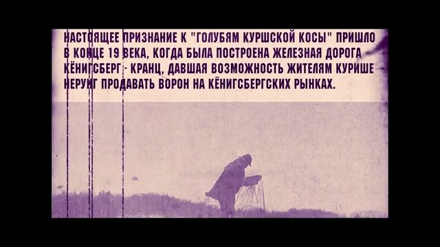 КУСАТЕЛИ ВОРОН / КРАЕНБАЙСЕРЫ смотреть онлайн