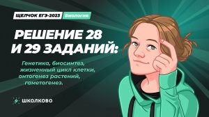 Решение 28 и 29 заданий: биосинтез, жизненный цикл клетки, онтогенез растений, гаметогенез.