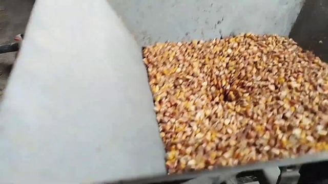 Экструдер‼️Экструдированная кукуруза ‼️ смотреть онлайн