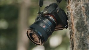 My New Favorite 50mm lens?! | Sony 50mm f/1.2 GM Review