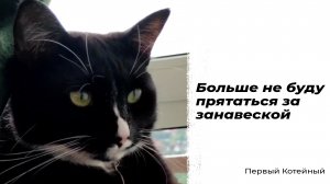 Фицджеральд решил скрыться ? за занавеской, но это оказалось сложнее, чем предполагалось