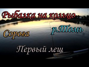 Рыбалка на кольцо, поймали первых лещей(подлещиков)