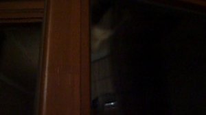 Стешка на балконной двери.