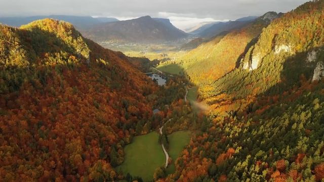 Deep Focus Music To Improve Concentration - 12 Hours of Ambient Study Music to Concentrate #608 смотреть онлайн