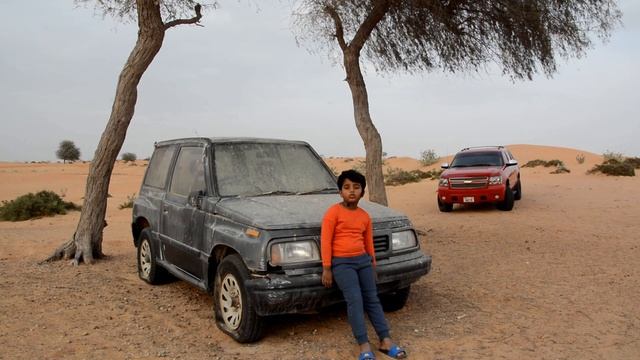 SUGAR GLIDER |fact about sugar glider|animal found in Australia,indonesia смотреть онлайн