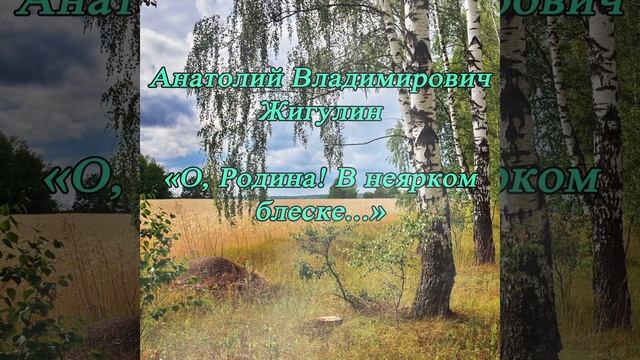 О, Родина! В неярком блеске - Жигулин А. В. #shorts смотреть онлайн