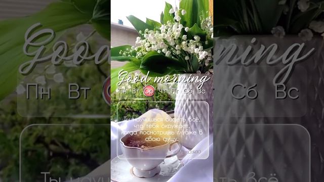 #доброеутро #среда