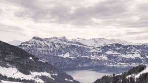 Эдуард Асадов ~ Она вошла совсем седая  #асадов #стихи #поэзия #душа #отсердцаксердцу