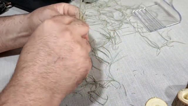 An interesting idea to make a table plant without water and soil and a pot with an aerobic plant ‼️ смотреть онлайн