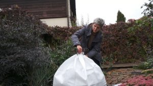 Укрытия для роз Каркас "Завитки" и чехол. Обзор и демонстрация.